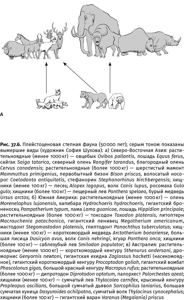 Иллюстрация к книге — Сотворение Земли. Как живые организмы создали наш мир [i_136.jpg]