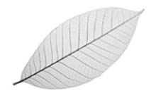 Иллюстрация к книге — Мудрость беспокойства. Как научиться слушать себя, когда сердце не на месте [i_007.jpg]