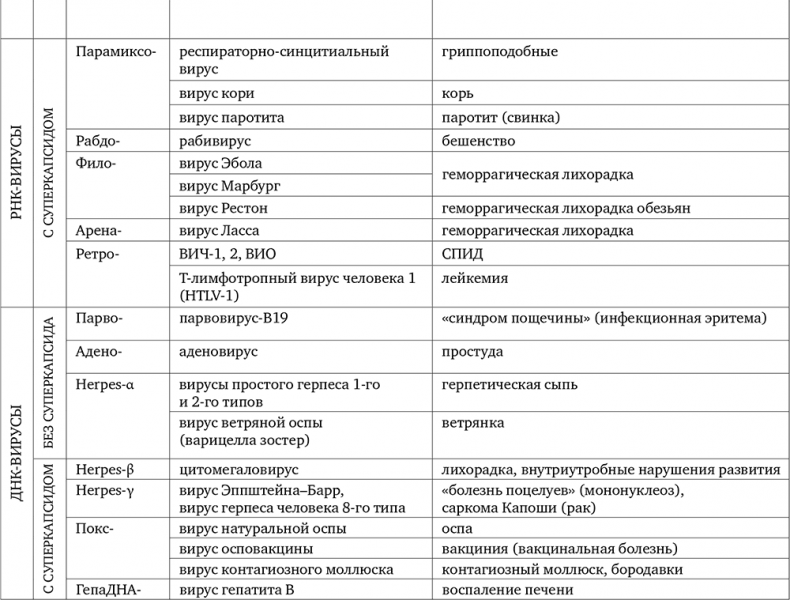 Иллюстрация к книге — Вирусы. Откуда они берутся, как передаются людям и что может защитить от них [i_002.jpg]