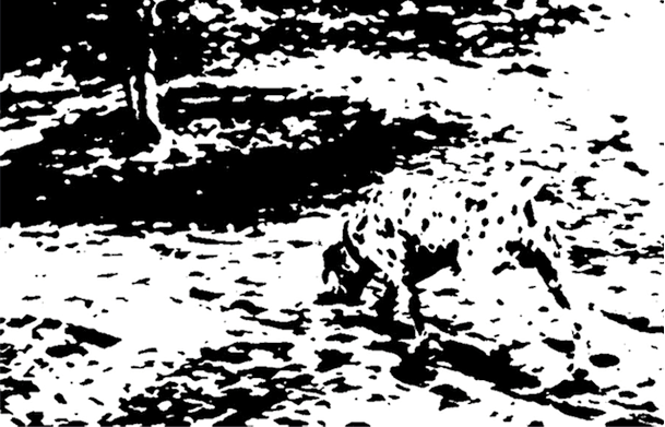 Иллюстрация к книге — Разговоры, которые меняют жизнь. Техники экспоненциального коучинга [i_002.jpg]