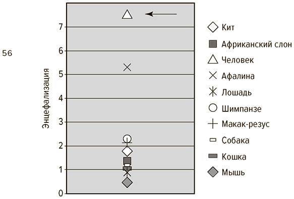 Иллюстрация к книге — Социальный вид [img_6.jpg]