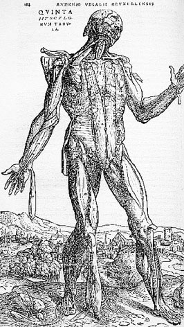 Homo Viridae: человек как вирус Homo Viridae: человек как вирус