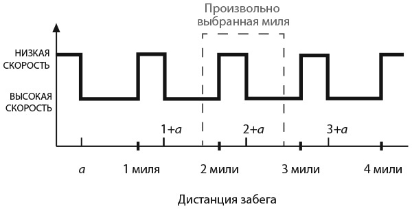 Иллюстрация к книге — Капуста, неверные мужья и зебра. Загадки и головоломки для развития критического мышления [i_236.jpg]