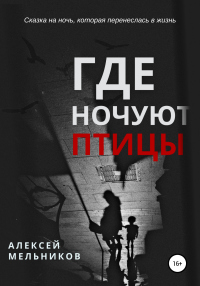 Книга Где ночуют птицы Книга Где ночуют птицы