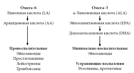 Иллюстрация к книге — Правила еды. Передовые идеи в области питания, которые позволят предотвратить распространенные заболевания [i_024.jpg]