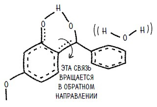Ингредиенты. Странные химические свойства того, что мы едим, пьем и наносим на кожу