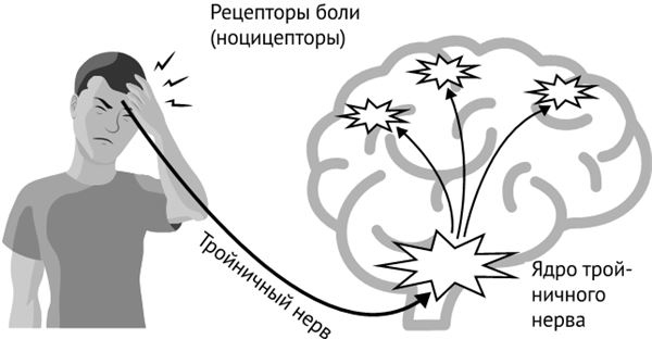 По голове себе постучи. Вся правда о мигрени и другой головной боли