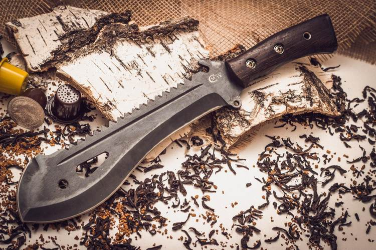 Иллюстрация к книге — Хороший день для зомби-апокалипсиса [i_002.jpg]