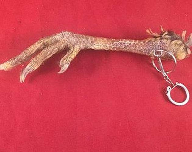 Иллюстрация к книге — Хороший день для зомби-апокалипсиса [i_020.jpg]