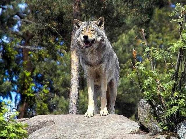 Иллюстрация к книге — Хороший день для зомби-апокалипсиса [i_063.jpg]