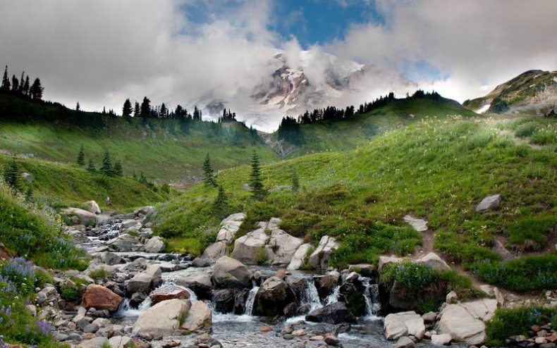 Иллюстрация к книге — Хороший день для зомби-апокалипсиса [i_072.jpg]