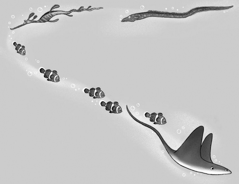 Иллюстрация к книге — Секрет дедушки-призрака [i_026.jpg]