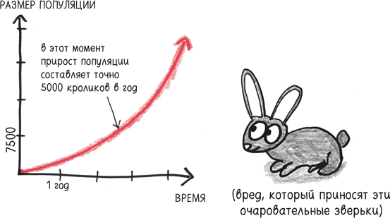 Иллюстрация к книге — Время переменных. Математический анализ в безумном мире [i_016.jpg]