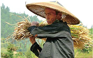 Иллюстрация к книге — Поднебесная страна/ Традиции, культура, праздники, кухня, медицина [i_056.jpg]