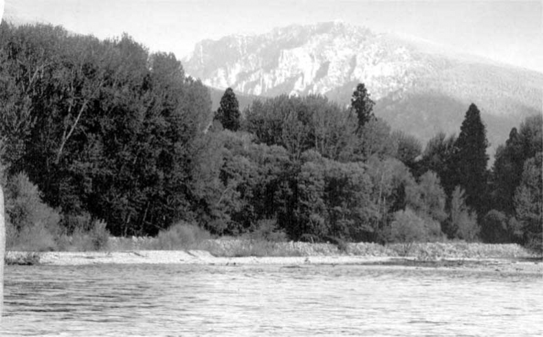 Иллюстрация к книге — Коллапс. Почему одни общества приходят к процветанию, а другие – к гибели [i_013.jpg]