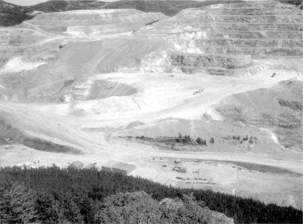 Иллюстрация к книге — Коллапс. Почему одни общества приходят к процветанию, а другие – к гибели [i_016.jpg]