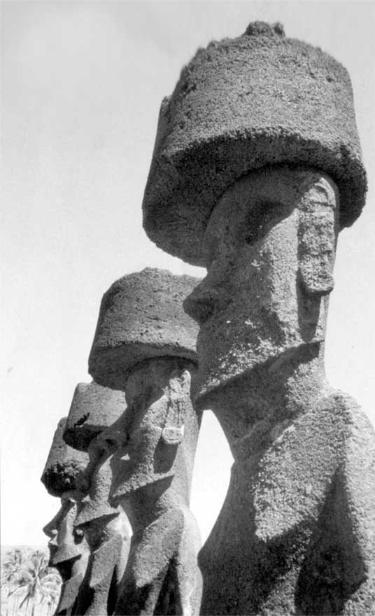 Иллюстрация к книге — Коллапс. Почему одни общества приходят к процветанию, а другие – к гибели [i_020.jpg]