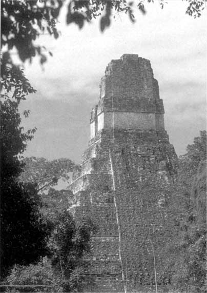 Иллюстрация к книге — Коллапс. Почему одни общества приходят к процветанию, а другие – к гибели [i_024.jpg]