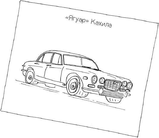Сумерки хищников