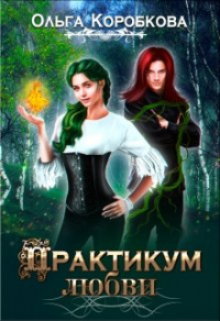 Книга Практикум Любви