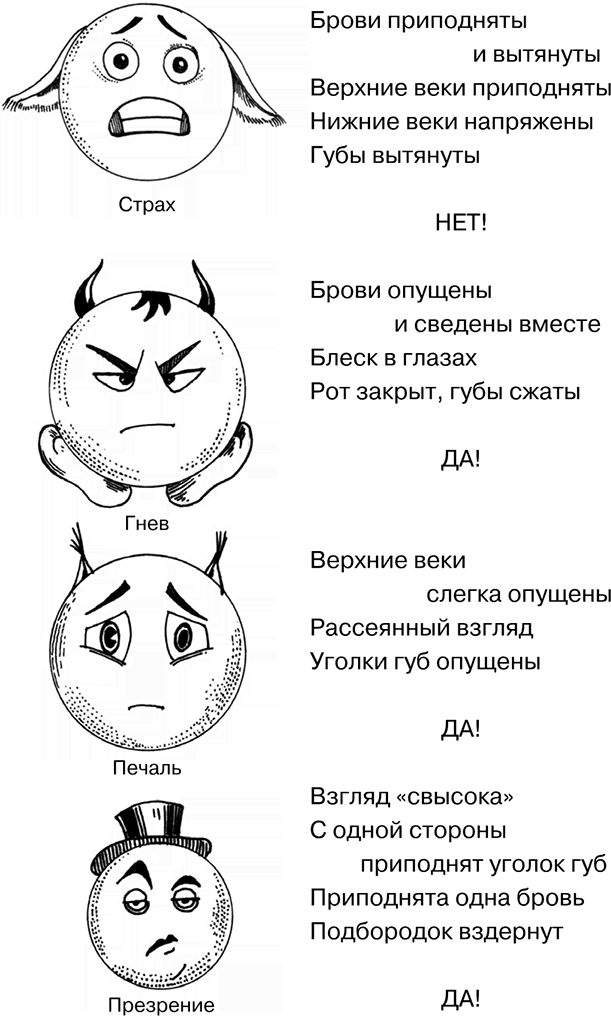 Иллюстрация к книге — Психология на пальцах [i_015.jpg]