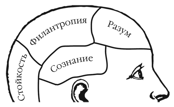 Иллюстрация к книге — Арти Конан Дойл и Клуб Гробокопателей [i_014.jpg]