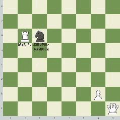 Иллюстрация к книге — Золото твоих глаз, небо её кудрей [pic_6.jpg]