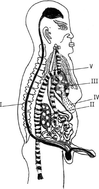 Иллюстрация к книге — Наука о сне. Кто познает тайну сна – познает тайну мозга! [i_005.jpg]