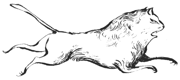 Иллюстрация к книге — Элиза в сердце лабиринта [i_019.jpg]