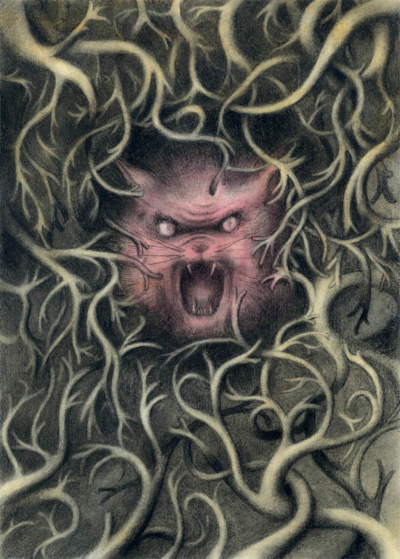 Иллюстрация к книге — Элиза в сердце лабиринта [i_025.jpg]