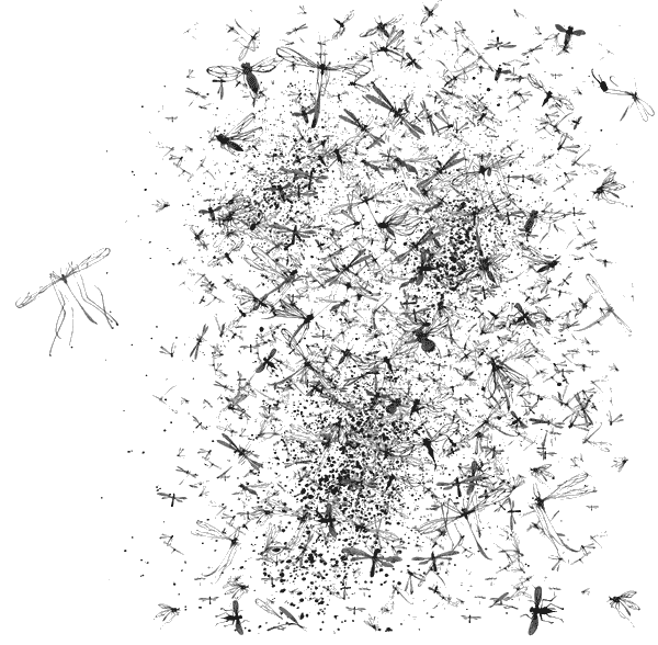 Иллюстрация к книге — Элиза в сердце лабиринта [i_026.jpg]