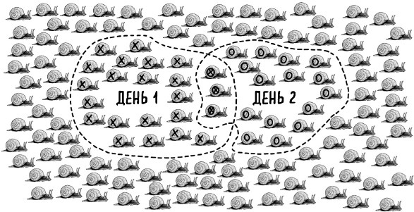 Иллюстрация к книге — Математика жизни и смерти. 7 математических принципов, формирующих нашу жизнь [i_001.jpg]