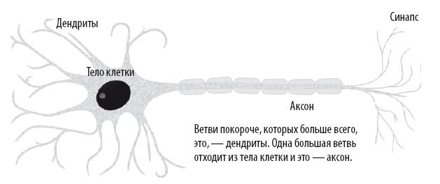 Иллюстрация к книге — Взламывая психиатрию [i_140.jpg]