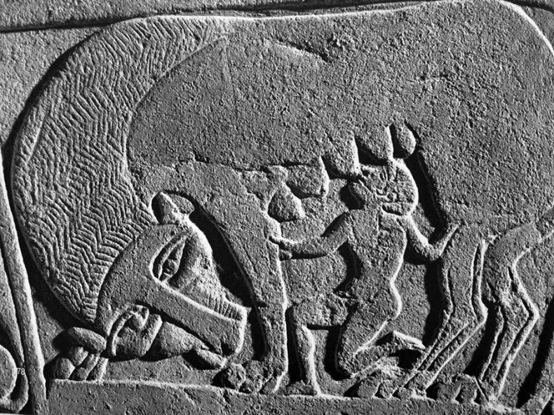 Древний мир. Полная история