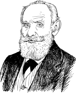 Опровергая мифы о медицине. Вся правда о нашем организме Опровергая мифы о медицине. Вся правда о нашем организме