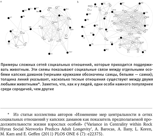 Иллюстрация к книге — Путеводитель зоолога по Галактике. Что земные животные могут рассказать об инопланетянах – и о нас самих [i_028.jpg]