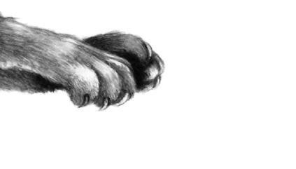 Иллюстрация к книге — Опасная дружба [i_061.jpg]