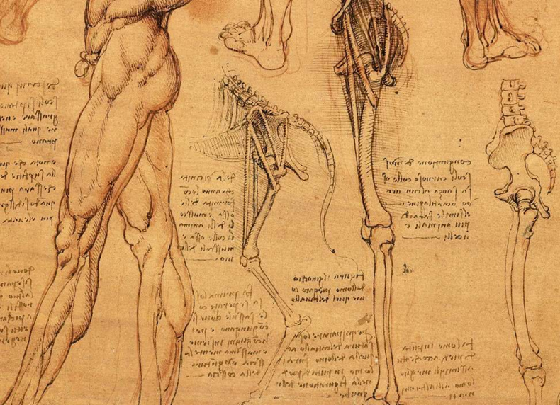 Иллюстрация к книге — Глаза «Джоконды». Секреты «Моны Лизы» [i_105.jpg]