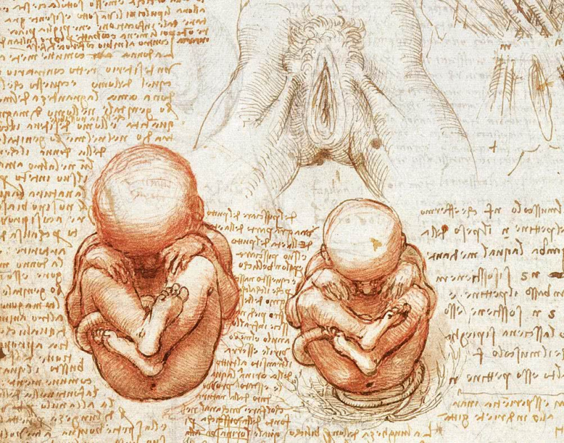 Иллюстрация к книге — Глаза «Джоконды». Секреты «Моны Лизы» [i_108.jpg]