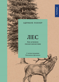 Книга Лес. Как устроена лесная экосистема Книга Лес. Как устроена лесная экосистема