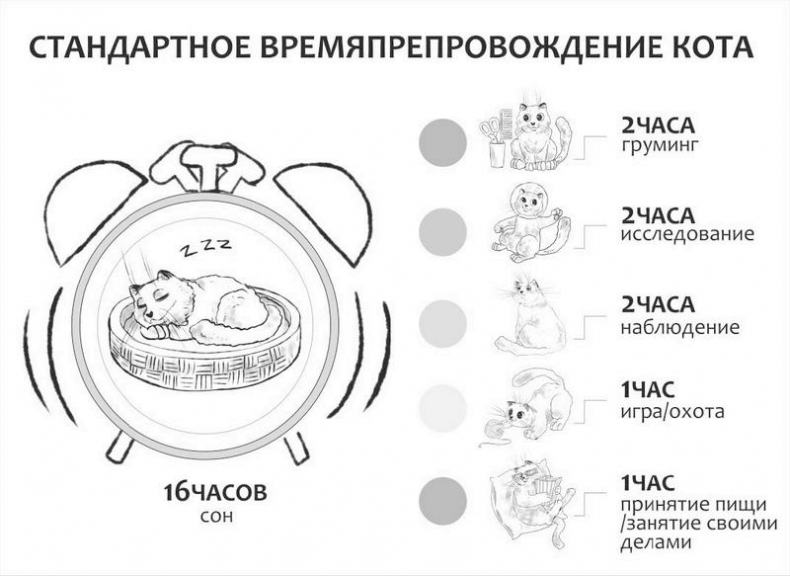 Иллюстрация к книге — На одном языке с кошкой [i_067.jpg]