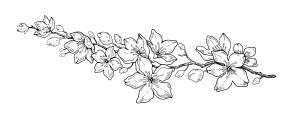 Иллюстрация к книге — Ворону не к лицу кимоно [i_012.jpg]