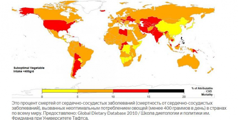 Продукты здоровья и долголетия