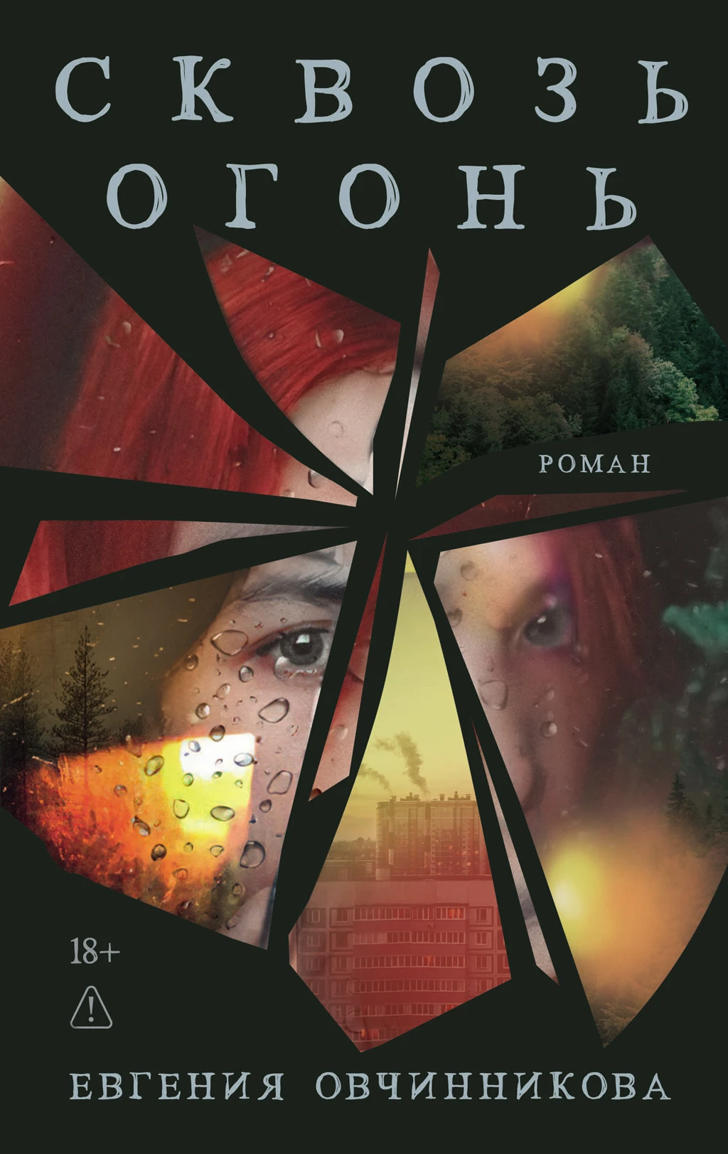 Книга Сквозь огонь