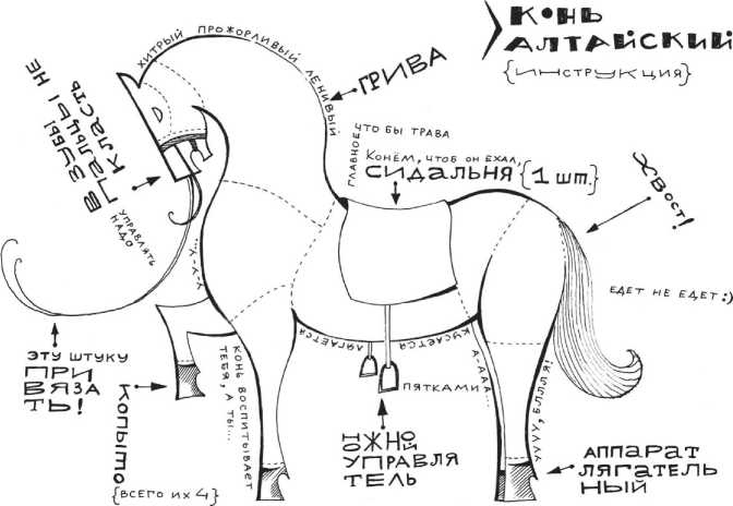 Иллюстрация к книге — Сияющий Алтай. Горы, люди, приключения [i_062.jpg]