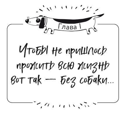 Иллюстрация к книге — Разумное собаководство. Советы ветеринара, как воспитать и вырастить щенка здоровым [i_001.jpg]
