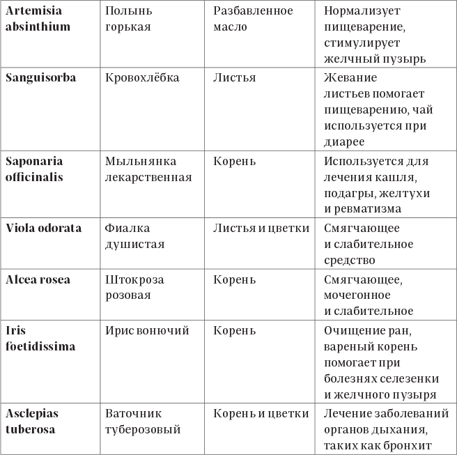 Иллюстрация к книге — Колдовские травы. Ведьмовской путеводитель по тайным силам растений [i_009.jpg]