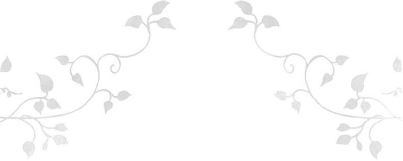 Иллюстрация к книге — Мощь земли [i_003.jpg]