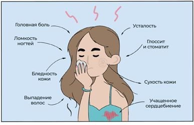Иллюстрация к книге — Пять литров красного. Что необходимо знать о крови, ее болезнях и лечении [i_069.jpg]