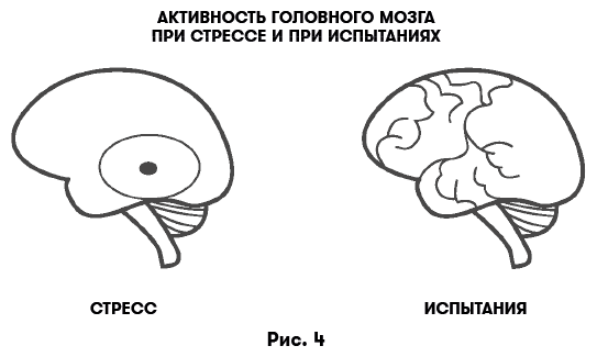 Иллюстрация к книге — Цифровая дисциплина. Воспитание здоровых привычек в мире гаджетов и соцсетей [i_004.jpg]